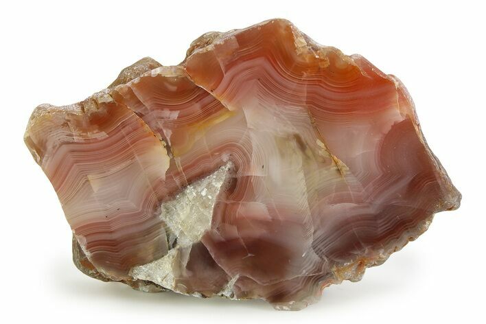 Polished Pilbara Agate Section - Oldest Known Agate #353183
